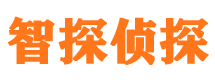 八步市调查公司